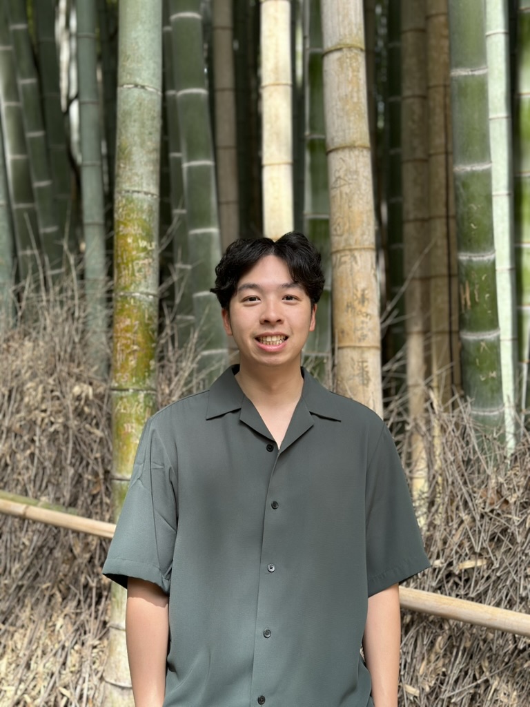 Bamboo forest