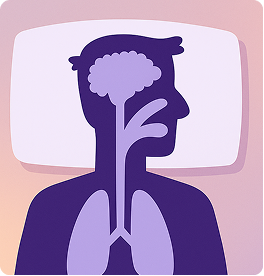 Central Sleep Apnea diagram