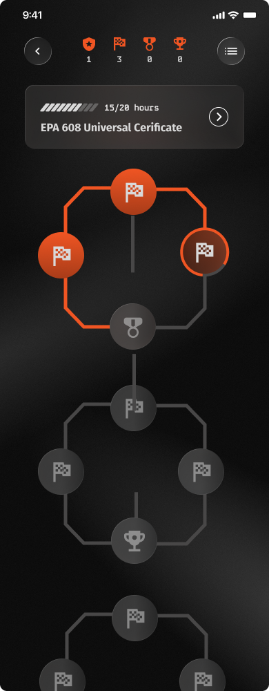Course view exploration 4 of 8: Lessons grouped into octagon loops.